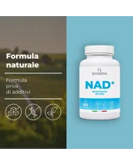 NAD+ Nicotinamide riboside cloruro 300mg - 90 capsule